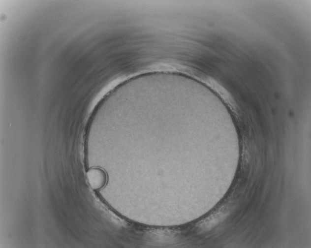 X0000080680950200612301421