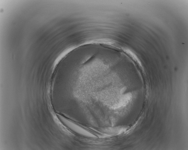 X0000080680952200612301421