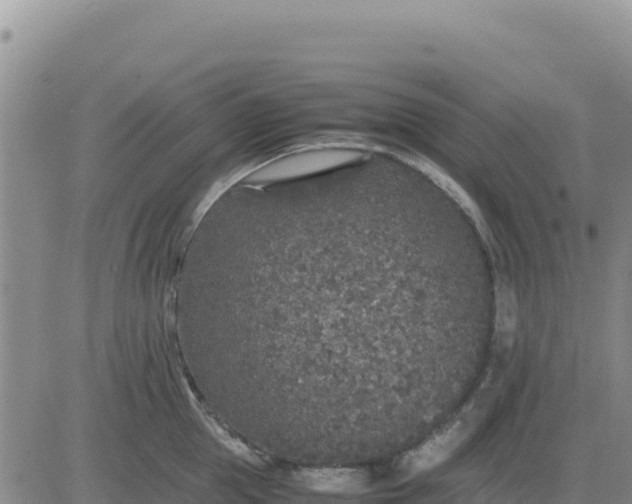 X0000080680953200612301421