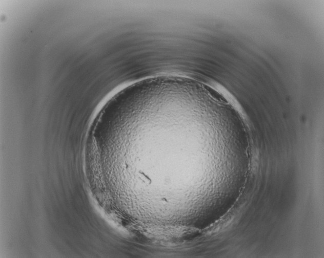 X0000080680955200612301421