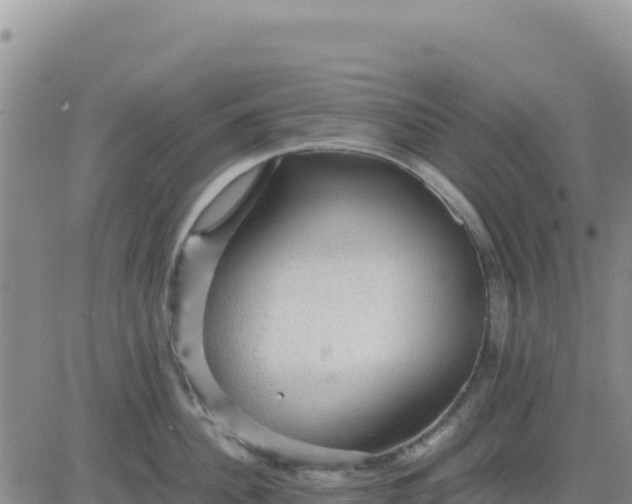 X0000080680956200612301421