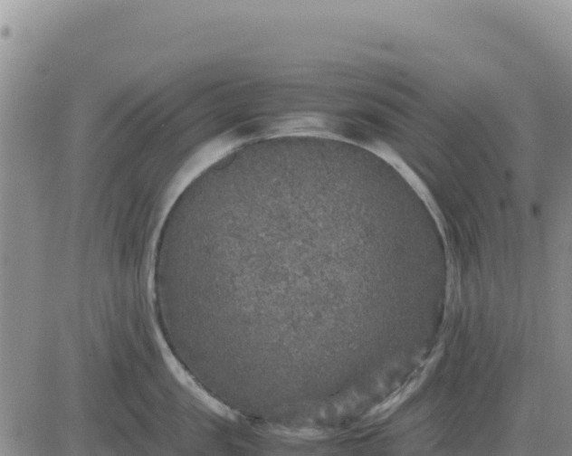 X0000080680957200612301421