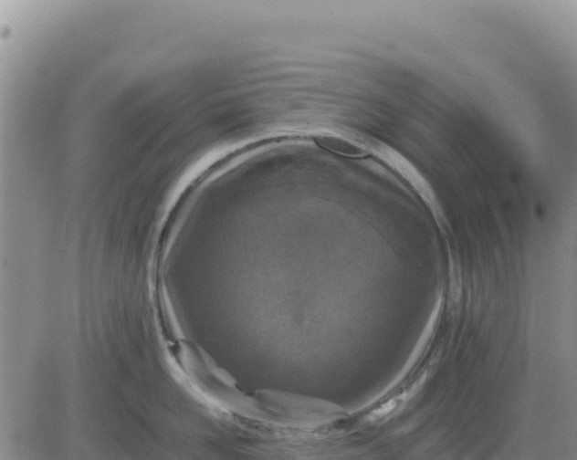 X0000080680958200612301421