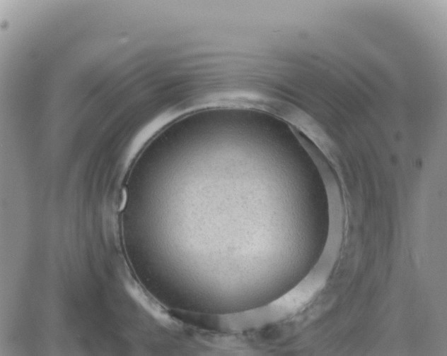 X0000080680960200612301421