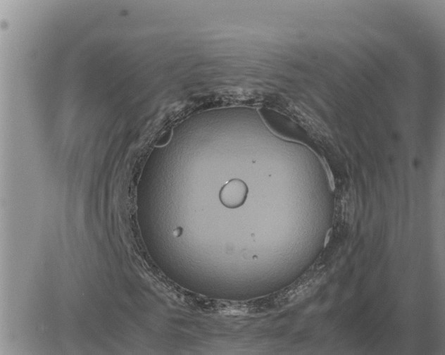 X0000080680961200612301421