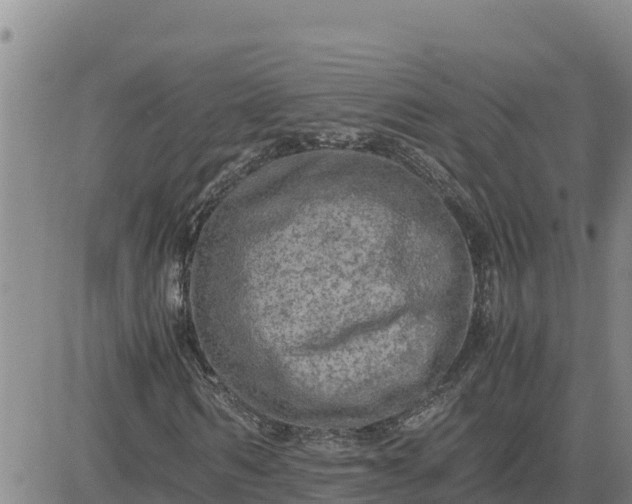 X0000080680962200612301421