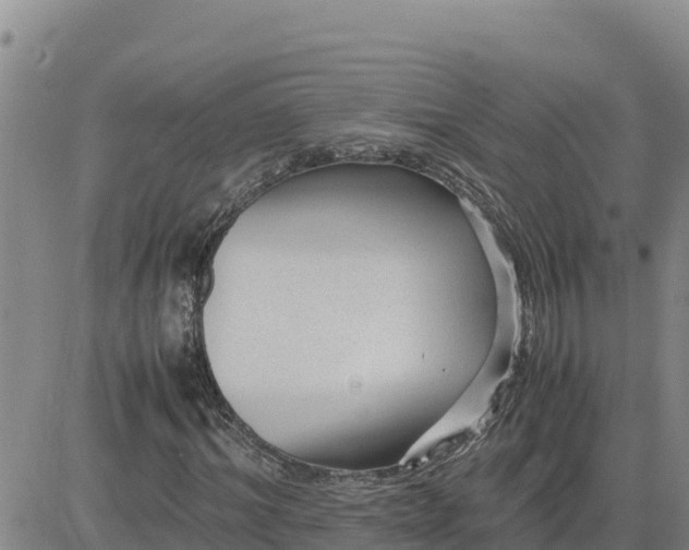 X0000080680964200612301421