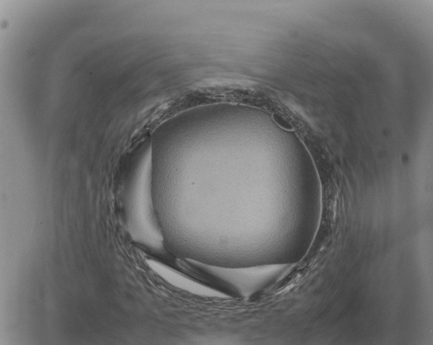 X0000080680965200612301421