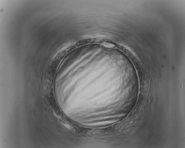 X0000080680967200612301421