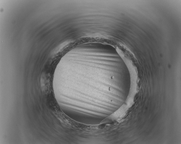 X0000080680968200612301421