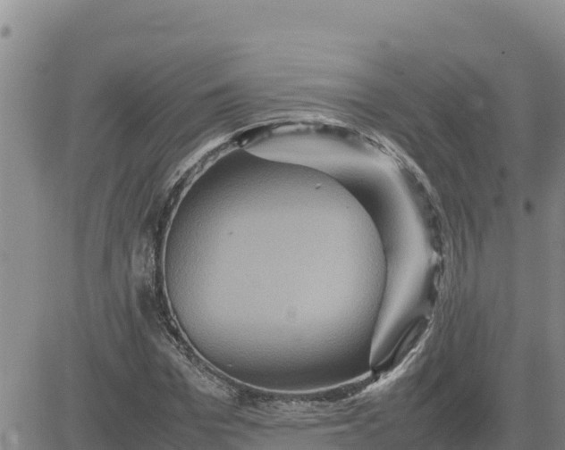 X0000080680969200612301421