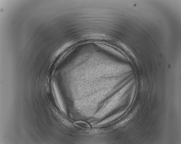 X0000080680970200612301421