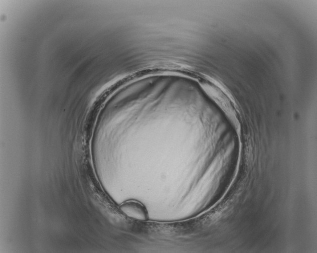 X0000080680971200612301420