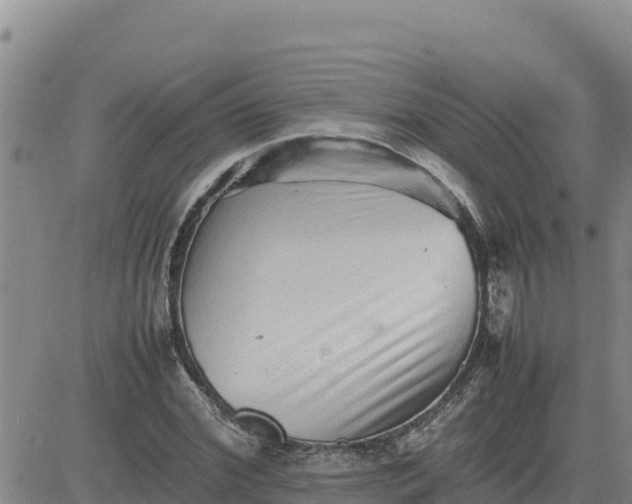 X0000080680972200612301420