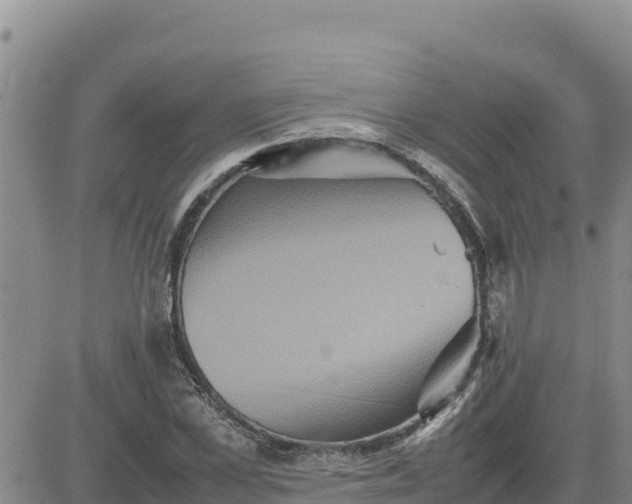 X0000080680973200612301420