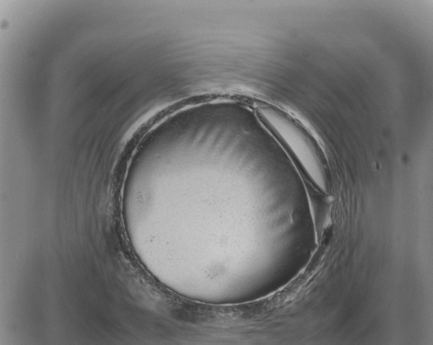 X0000080680975200612301420