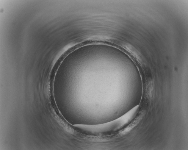 X0000080680976200612301420