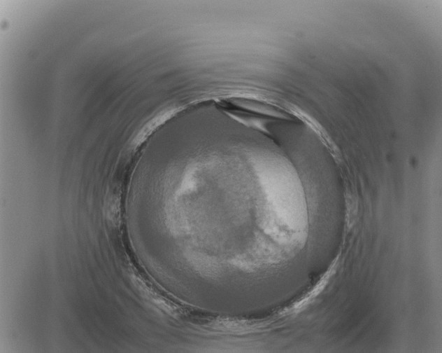 X0000080680977200612301420