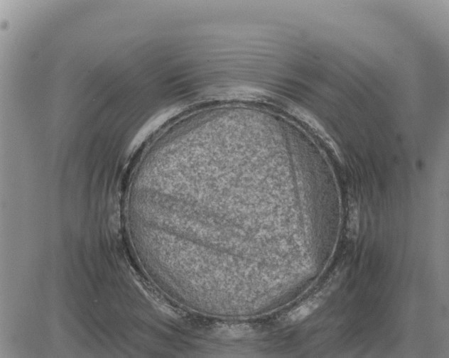 X0000080680978200612301420