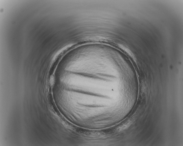 X0000080680979200612301420