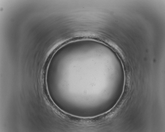 X0000080680983200612301420