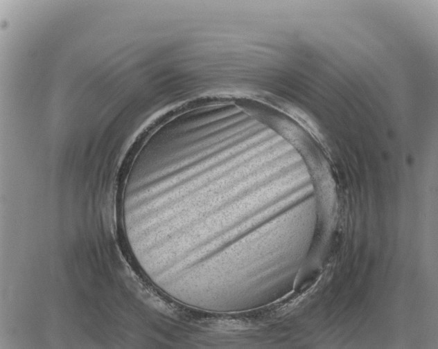 X0000080680984200612301420