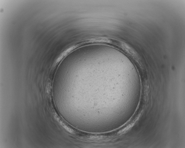 X0000080680985200612301420