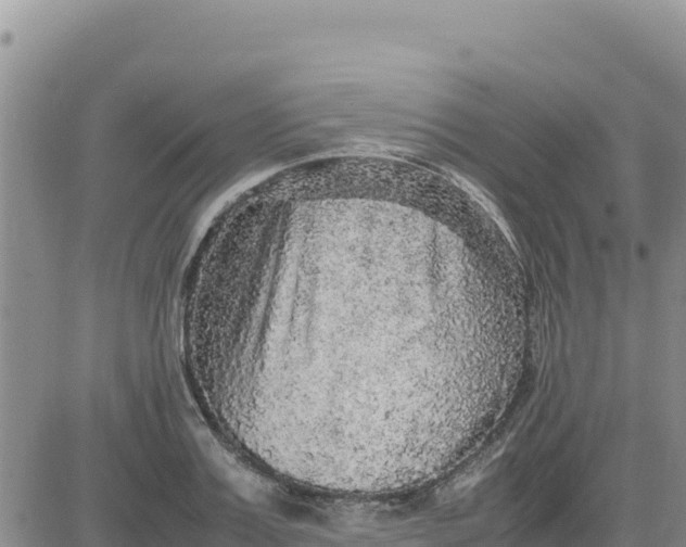 X0000080680987200612301420