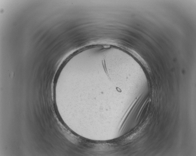 X0000080680988200612301420