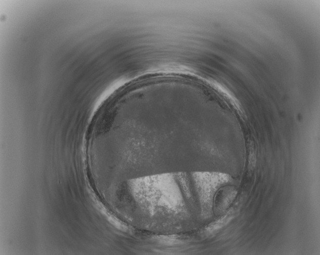 X0000080680990200612301420