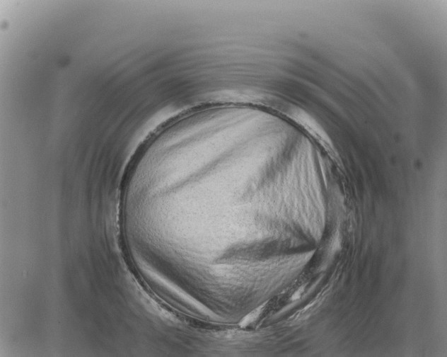 X0000080680992200612301420