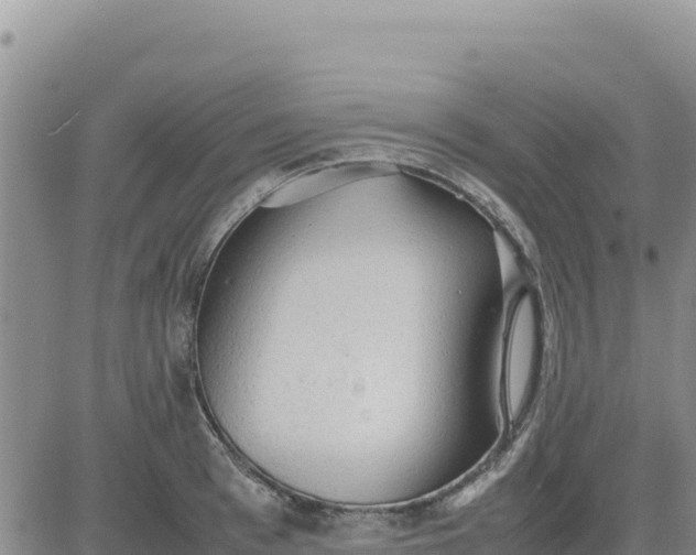 X0000080680993200612301420