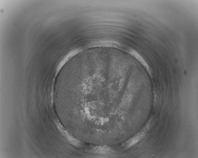 X0000080680994200612301420