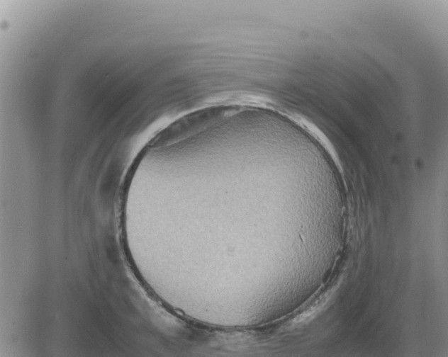 X0000080680997200612301420