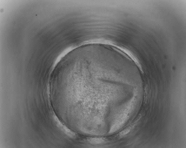 X0000080680998200612301420