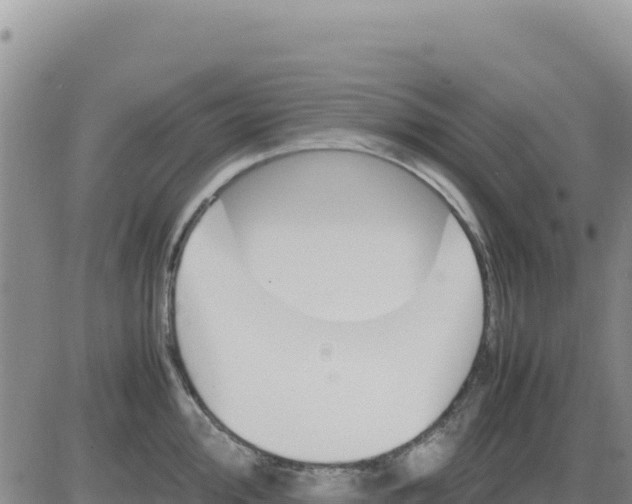 X0000080681000200612301420