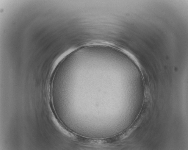 X0000080681003200612301420