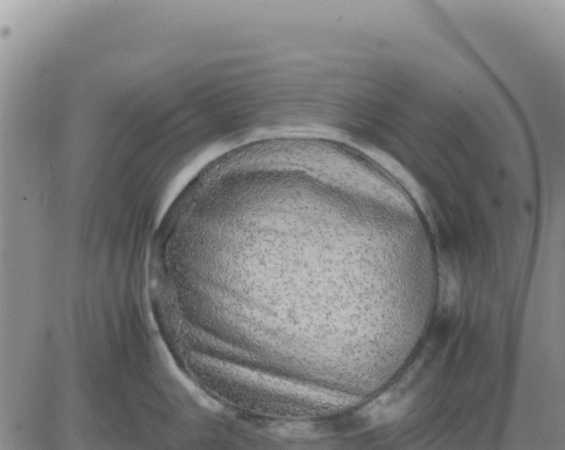 X0000080681006200612301420