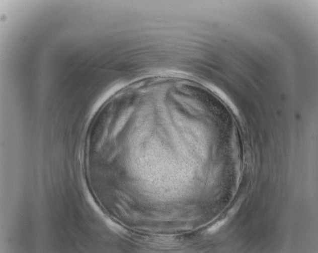 X0000080681007200612301420