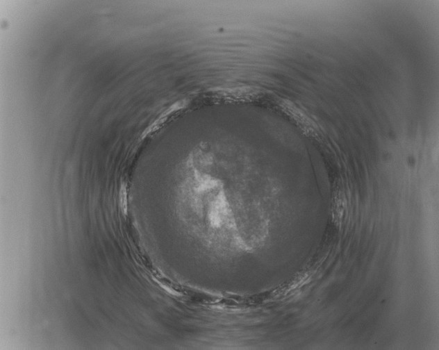 X0000080681010200612301419