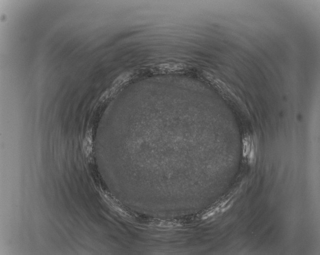 X0000080681011200612301419