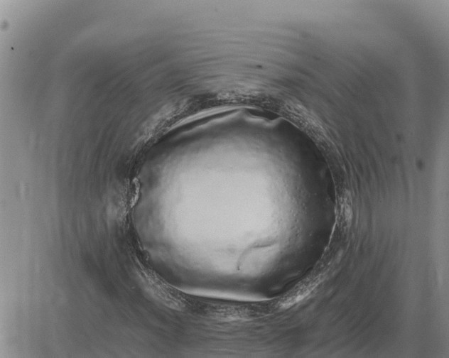 X0000080681012200612301419