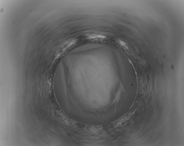 X0000080681013200612301419