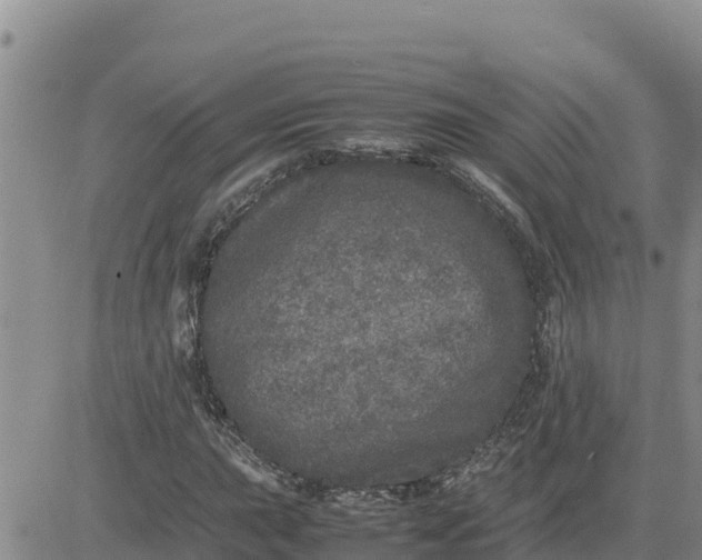 X0000080681015200612301419