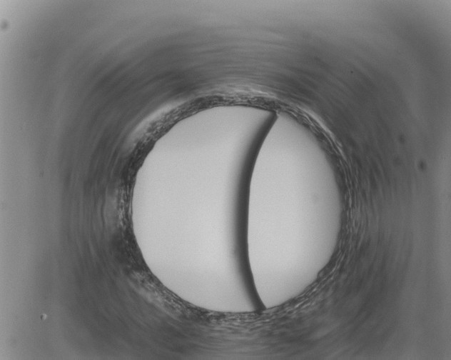 X0000080681016200612301419