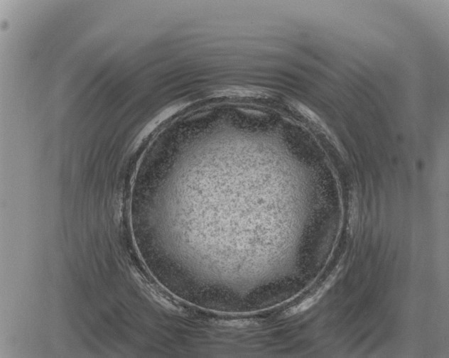 X0000080681017200612301419