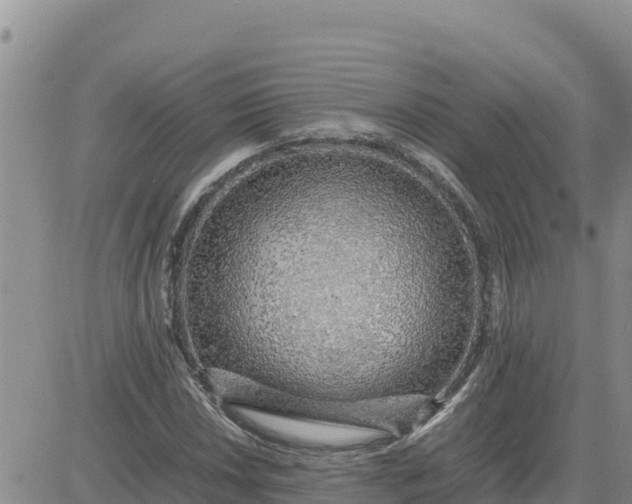 X0000080681018200612301419