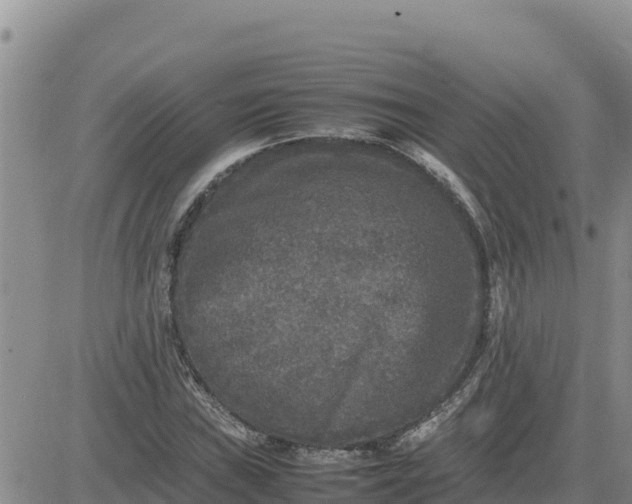 X0000080681019200612301419