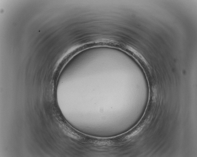 X0000080681021200612301419