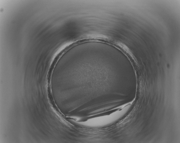 X0000080681024200612301419